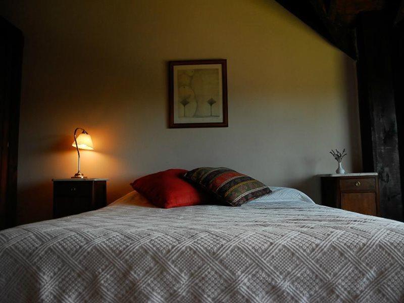 Hosteria Naranjo En Flor Villa La Angostura Exteriér fotografie